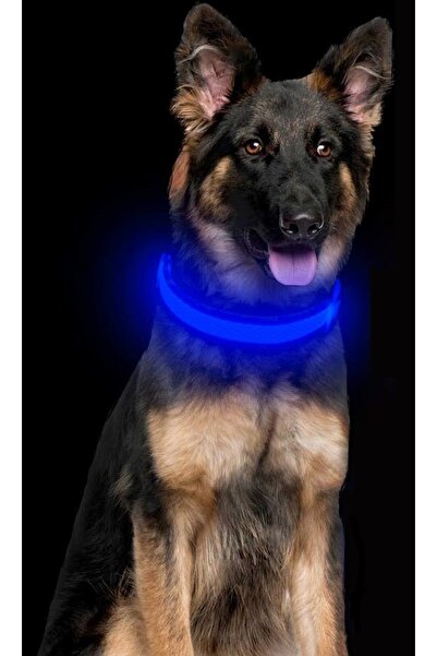 SSMEDIA Ρυθμιζόμενο κολάρο LED για σκύλους, γάτες και άλλα κατοικίδια με φόρτιση USB - Μπλε