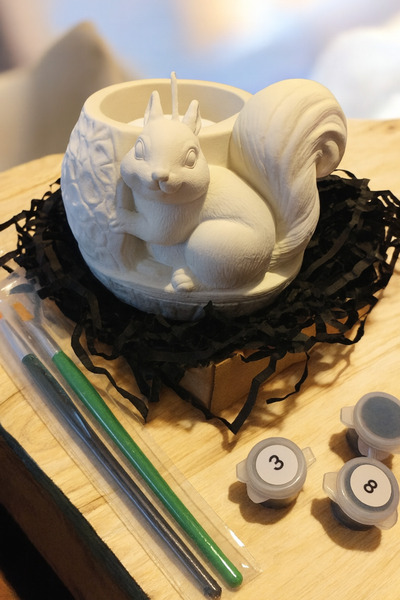 Denic Tasarım Taş Boyama Seti- Sincap- Firça - Boya - Biblo-Kalemlik- Saksı