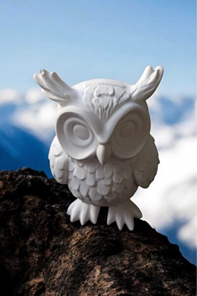 escoines koleksiyon Escoines Dekoratif Baykuş Masaüstü & Ofis Dekor Biblo Ham...