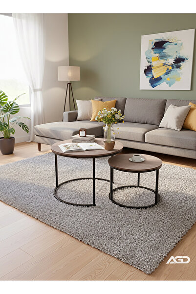 AGD طقم طاولة قهوة دائرية حديثة متداخلة من قطعتين لغرفة المعيشة والشرفة