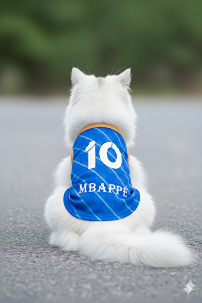 PuluPulu Kedi Ve Köpeklerimiz İçin Evcil Hayvan Forması