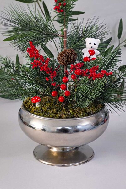 Home Kış Koleksiyonu Çam Kokina Mini Ayıcık Aranjman