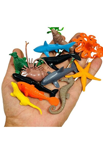 tmtoysandmore Deniz Hayvanları Deniz Atı Ve Yıldızı Salyangoz Yunus Köpek Bal...