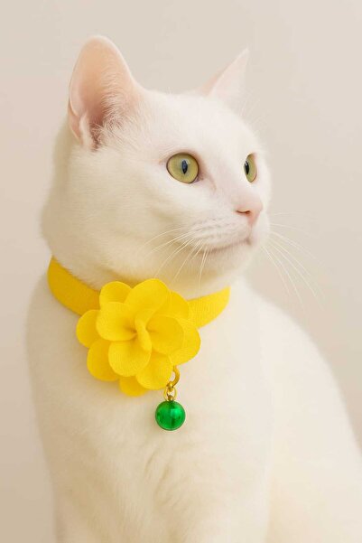 MIT Cat Collar Double Bell Floral Leash Yellow