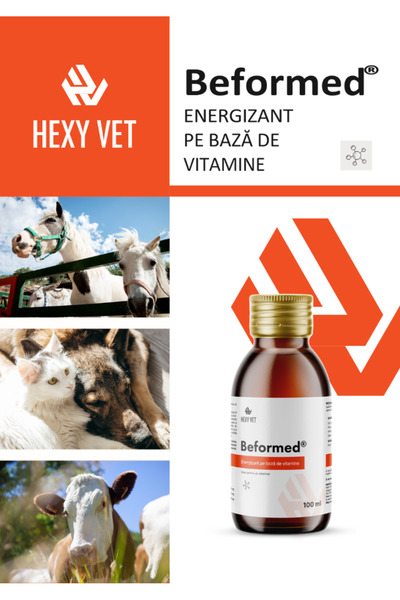 HEXYVET PHARMA Beformed 100ml, multivitamine, pentru caini, pisici, cabaline, bovine, porcine