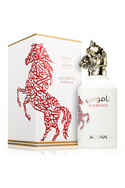ADYAN BY ANFAR Namoos 100 ml - Apa de parfum, unisex