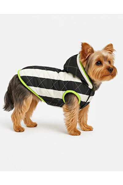 mastercat Paris Tarzı Yağmurluk Köpek Montu