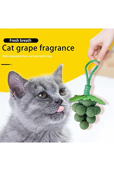 pawzee Healthy Teeth-Cleaning Catnip Ball - Refreshes Breath & Promotes Digestion in Cats