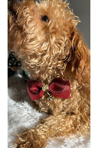 MeloKids Christmas Themed Burgundy Glitter Ribbon Cat and Small Breed Dog Collar