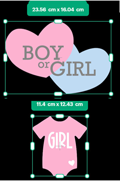 Hiras Dizayn 11 Pieces Baby Shower Party String Banner Boy or Girl Blue/Pink Baby Shower Decorations