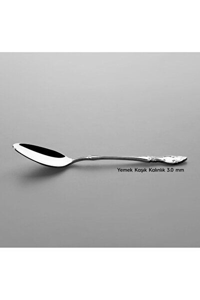 Nehir Adriana Sade 12 Piece Dinner Spoon Set