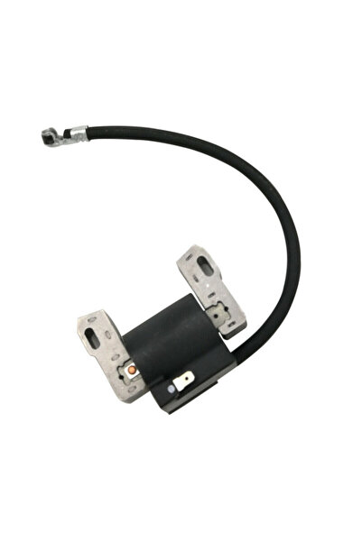 Farmertec Briggs&Stratton 843931 ignition