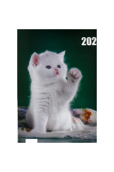 Global Calendar cu pisici 2026, A3, 12 file,