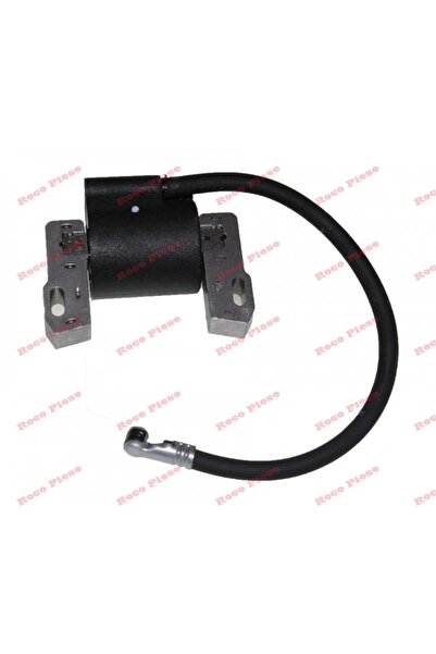 Farmertec Briggs&Stratton 843931 ignition