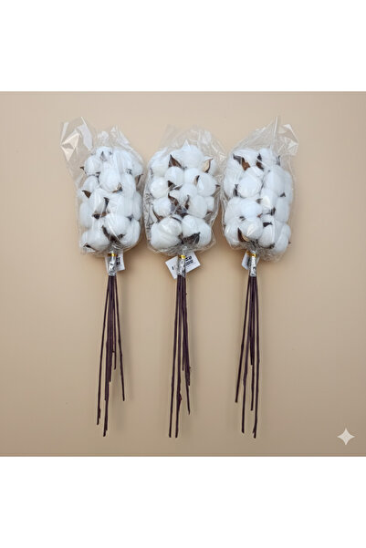 Mimoza 6'lı beyaz doğal dekoratif pamuk