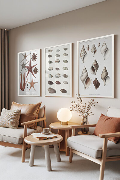 Zestia Set de 3 tablouri cu ramă albă, Colecția Marine, Ilustrație vintage, S...