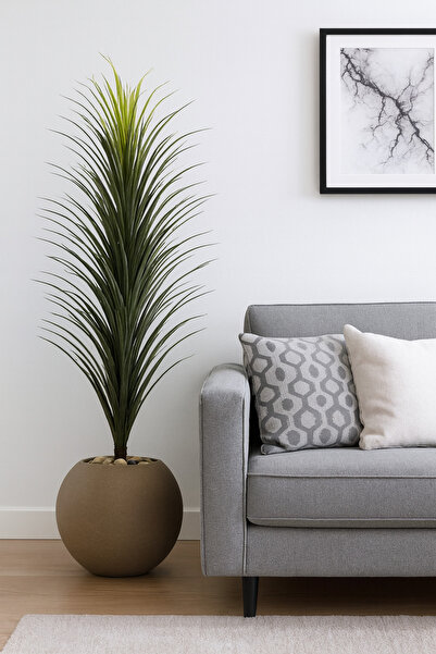 SADANHOME Cactus tree in a plastic pot - 150 cm