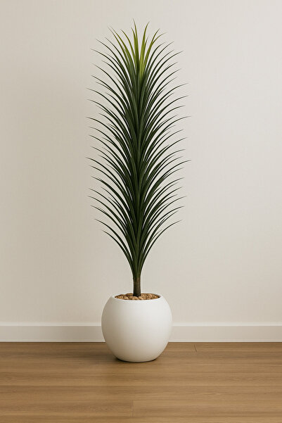 SADANHOME Cactus tree in a plastic pot - 150 cm