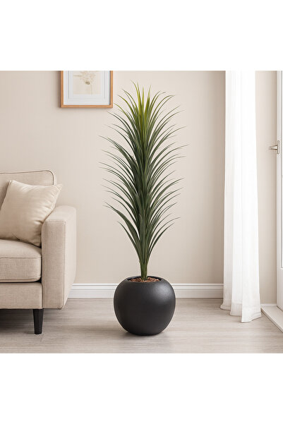 SADANHOME Cactus tree in a plastic pot - 150 cm