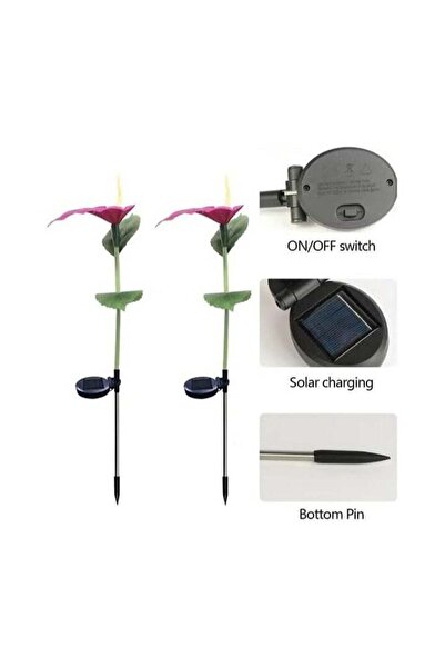 BLOOMING TIME Waterproof Outdoor Solar Horseshoe Flower Stake Lights (2-Pack)