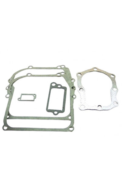 TAIWAN Set garnituri motor Briggs & Stratton (Seria 110900, 111900) 4 CP