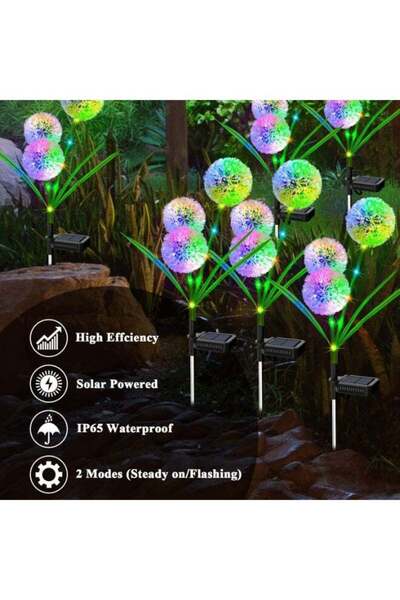 BLOOMING TIME Solar Garden Lights – Waterproof LED Decorative Flower Stakes for Patio (2 Pack)