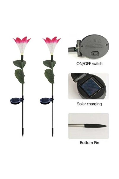 BLOOMING TIME Waterproof Outdoor Solar Lily Flower Stake Lights (2-Pack)
