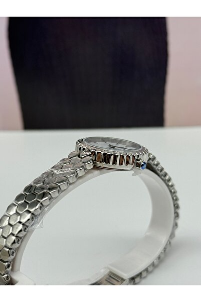 Momentus Silver Women's Watch