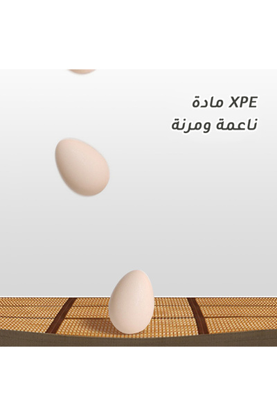 CozyhomeVIP Natural Coconut Fiber Floor Mat Interlocking Tatami Style, Breathable Regulating with Refined Edging