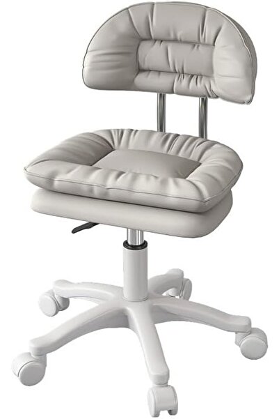 Arabest Makeup Chair, Beauty Stool Lift Rotating, Round Stool Barbershop Sliding Wheelchair