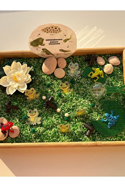 Handmade Kurbağa Duyusal Oyun Kiti