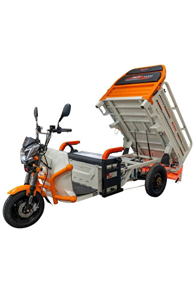 RURIS Pilot 3120 Electric Cargo Tricycle (A/G/N) – 2000 W, 70 km range, 542 kg load