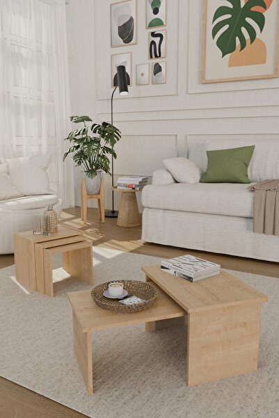 Estoria Home Aurea SafirMeşe 3'lü Zigon Sehpa Takımı ve 2'li Orta Sehpa Bohem...