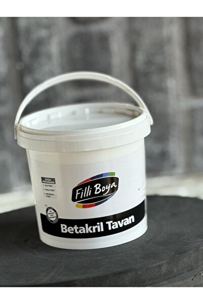 Filli Boya BETAKRİL TAVAN 1 KG