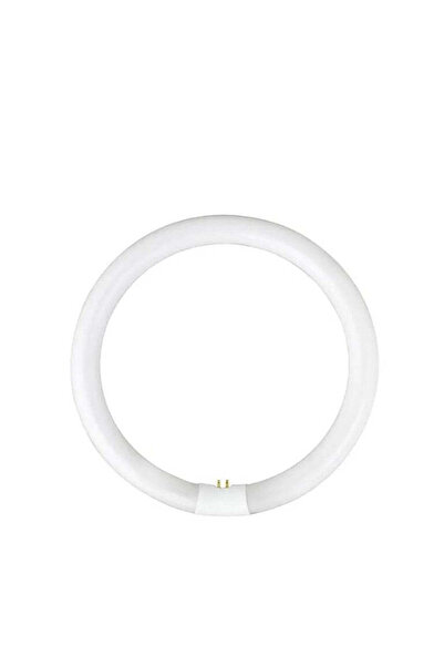 Cosmeticos Tub neon T5-22 W | Circular | pentru lupă cosmetică - 6500K