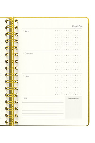 Meli Melek Melimelek Planner Yellow (Paperback) - Ceyda Düvenci