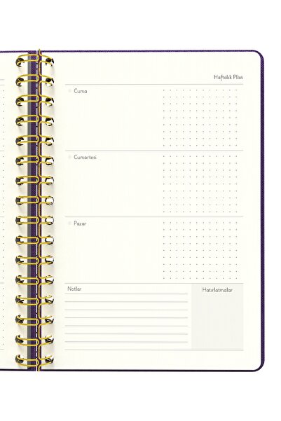 Meli Melek Melimelek Planner Purple (Paperback) - Ceyda Düvenci