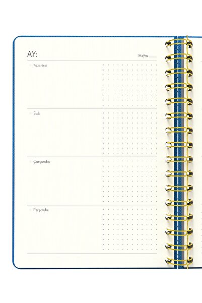 Meli Melek Melimelek Planner Blue (Paperback) - Ceyda Düvenci