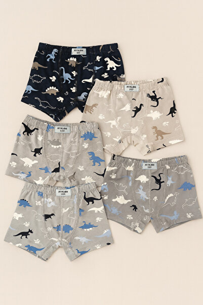 Katia&Bony Boy's 5-Piece Dinosaur Patterned Boxer