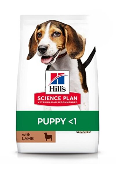 Hill's Hills Puppy Kuzu Etli Yavru Köpek Maması 14 KG - Orta Irklar İçin Sağl...
