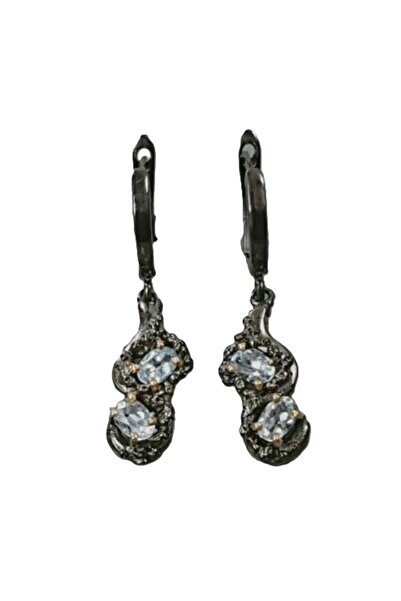 FashionBijoux 925 Sterling Silver Earrings with Blue Topaz