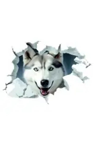 autostickere Autocolant 3D HUSKY