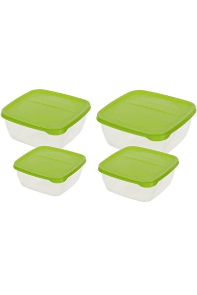 HOBBY LİFE Set of 4 food casseroles, Transparent, 500ml, 900ml, 1500ml, 2500ml