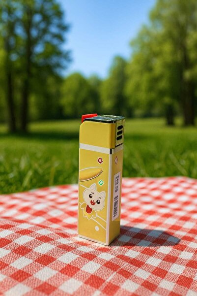 melmus Sevimli Karakter Desenli Renkli Turbo Pürmüz Alevli Gazlı Çakmak