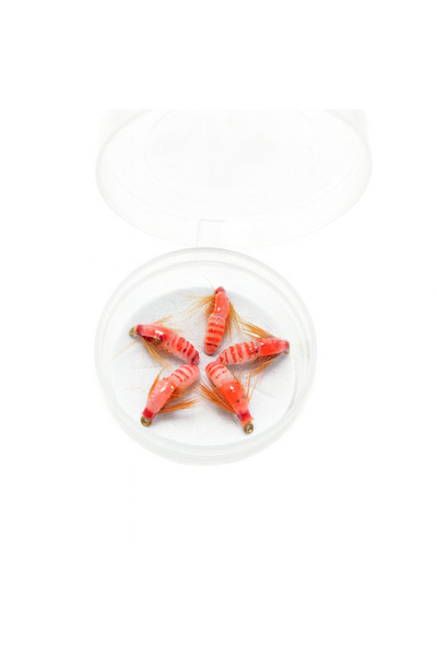 Megsaydin 1 cm Mikro Böcek Görünümlü İğneli Yapay Yem – 5’li Set – Tatlı Su Balıkları İçin