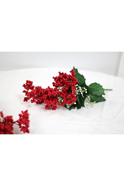 OGELAPARTY ⭐ Küçük Kokina Bitkisi – Doğal Yılbaşı Süsü | Yeni Yıl Dekorasyonu...