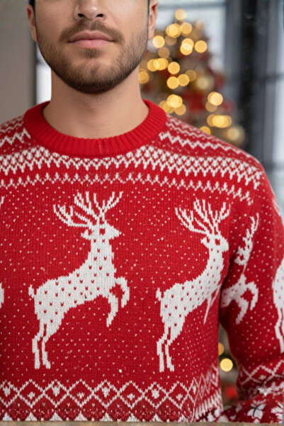 A&O Style Unisex Red Regular Fit Crew Neck Christmas Deer Themed Knitwear Sweater
