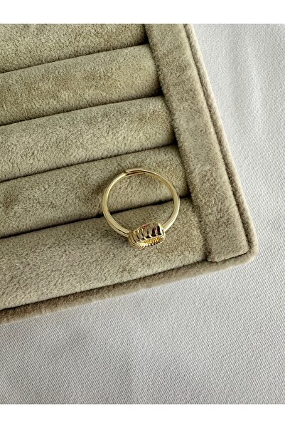 ringbox Gold Spiral Tail Steel Ring