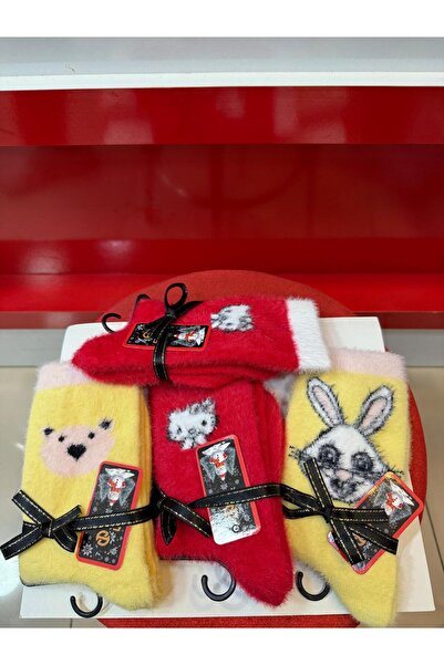 HİKMET New Year Christmas Bear Animal Figure Themed Soft Gift Optional Socks in Packages of 4 and 2