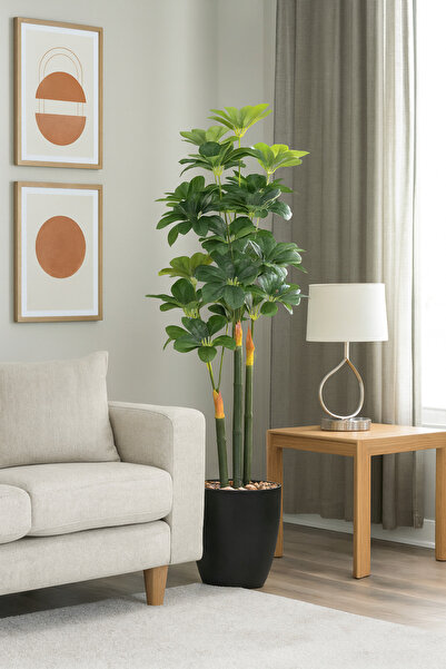 SADANHOME شجرة شفليرا حوض بلاستيك -160 سم